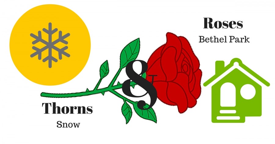 Roses & Thorns: Bethel Park and Snow