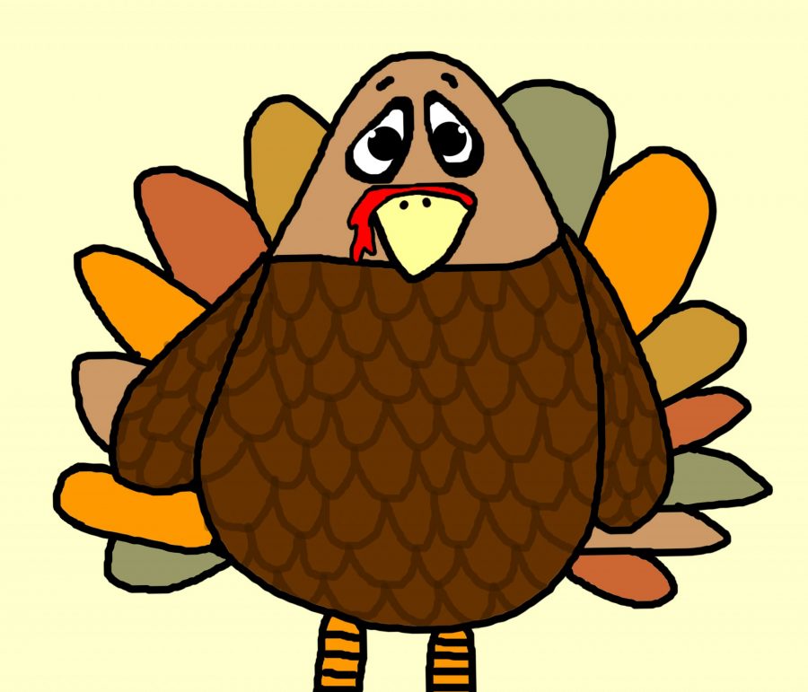 Mollys Musings: Thanksgiving is a time to be thankful