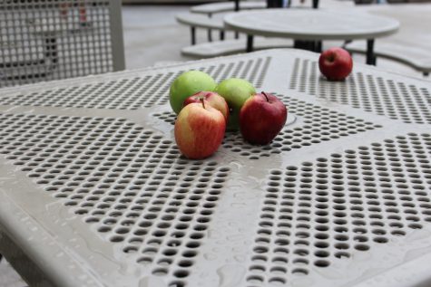Mysterious apples under investigation