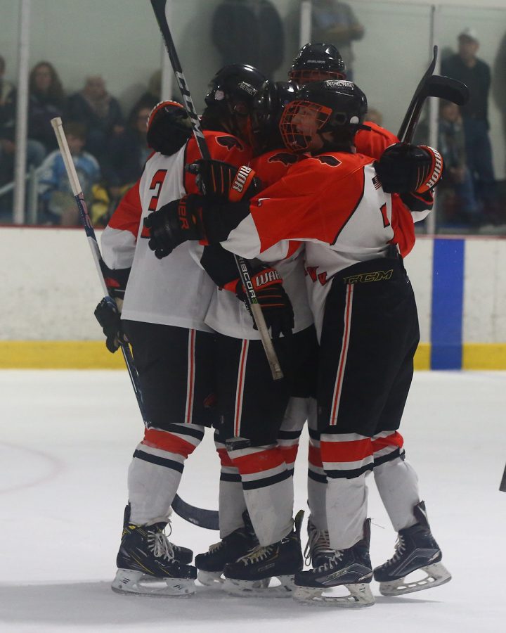 Hawks+celebrate+after+a+goal+in+their+game+against+Seneca+Valley+on+Nov.+1.