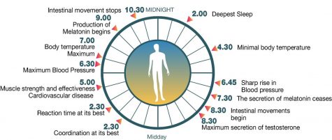 World Wednesday: All you need to know about your sleep-wake cycle