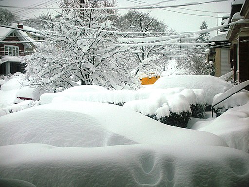 Snow in Pittsburgh during First North American blizzard of 2010