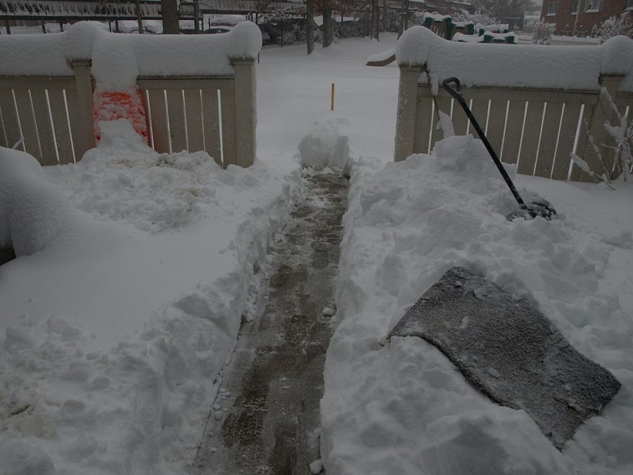 A+shot+of+the+heavy+snowfall+on+Feb.+6%2C+2010.