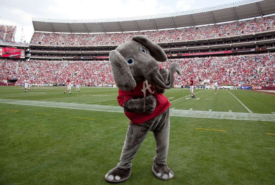 Since the 1930s, Big Al, the Alabama Crimson Tide football team mascot has cheered the team to victory at the University of Alabama, Tuscaloosa, Alabama