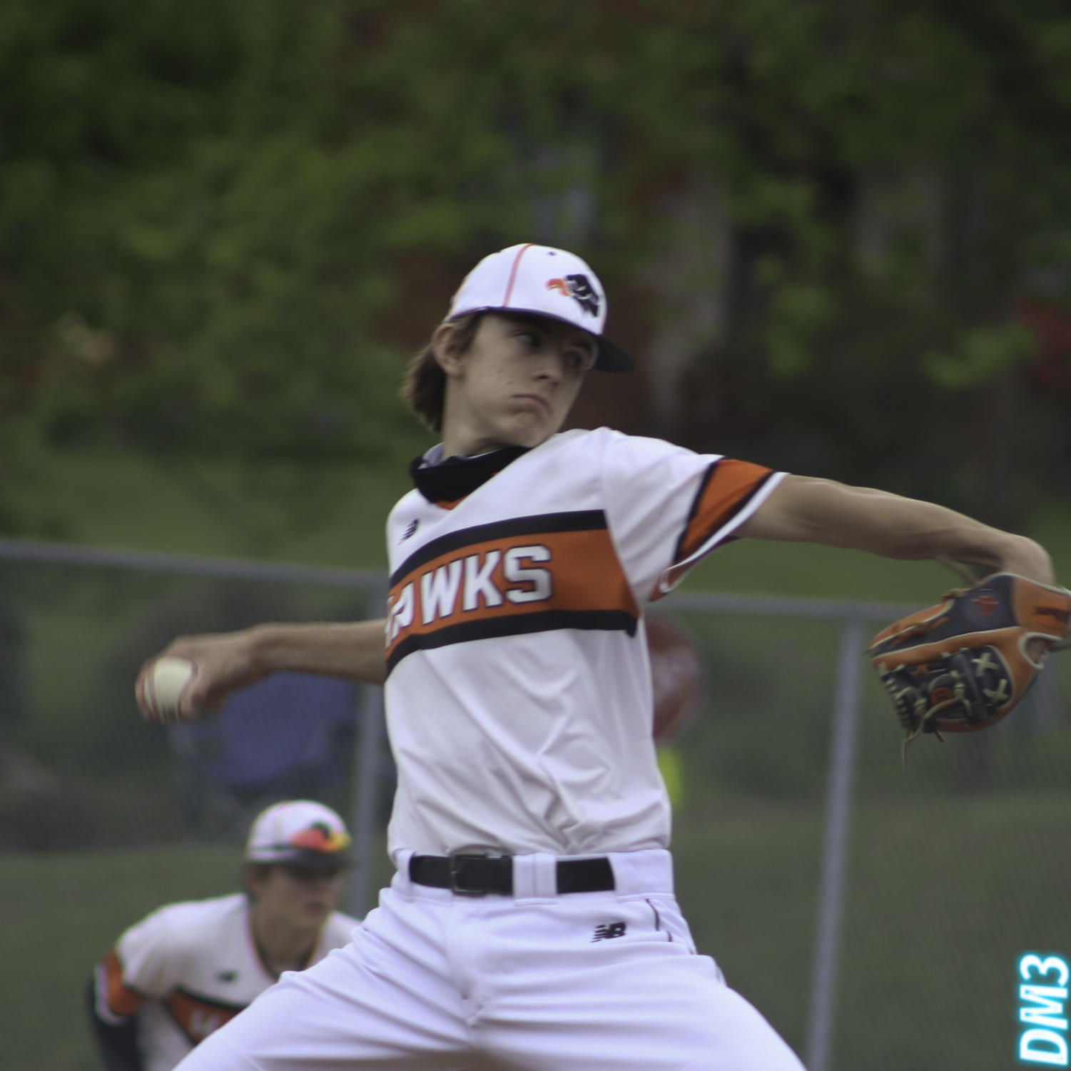 Baseball wins first round of PIAA playoffs Hawk Eye