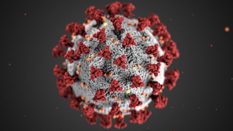 High-resolution photo of the coronavirus. The COVID-19 Omicron variant, the newest variant of the virus, is quickly spreading.