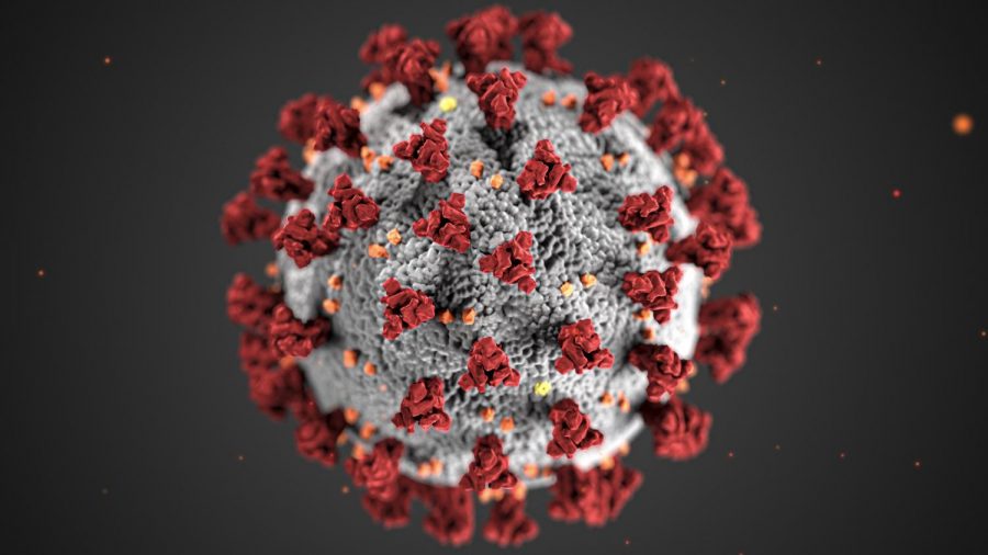High-resolution photo of the coronavirus. The COVID-19 Omicron variant, the newest variant of the virus, is quickly spreading.