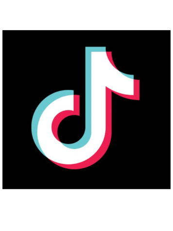 TikTok is a very popular social media app. Countries are beginning to ban it due to security concerns.
