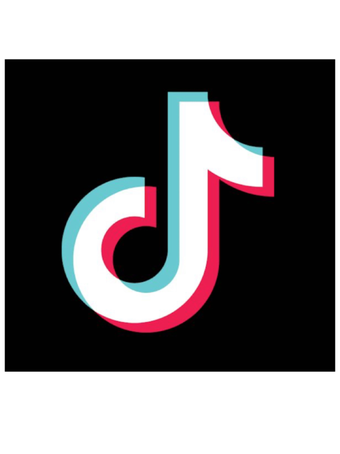 TikTok+is+a+very+popular+social+media+app.+Countries+are+beginning+to+ban+it+due+to+security+concerns.