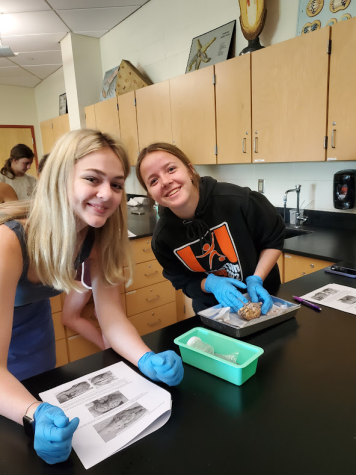 Sydney Edwards and Kristen Horgan are hard at work in their Anatomy and Physiology lab.