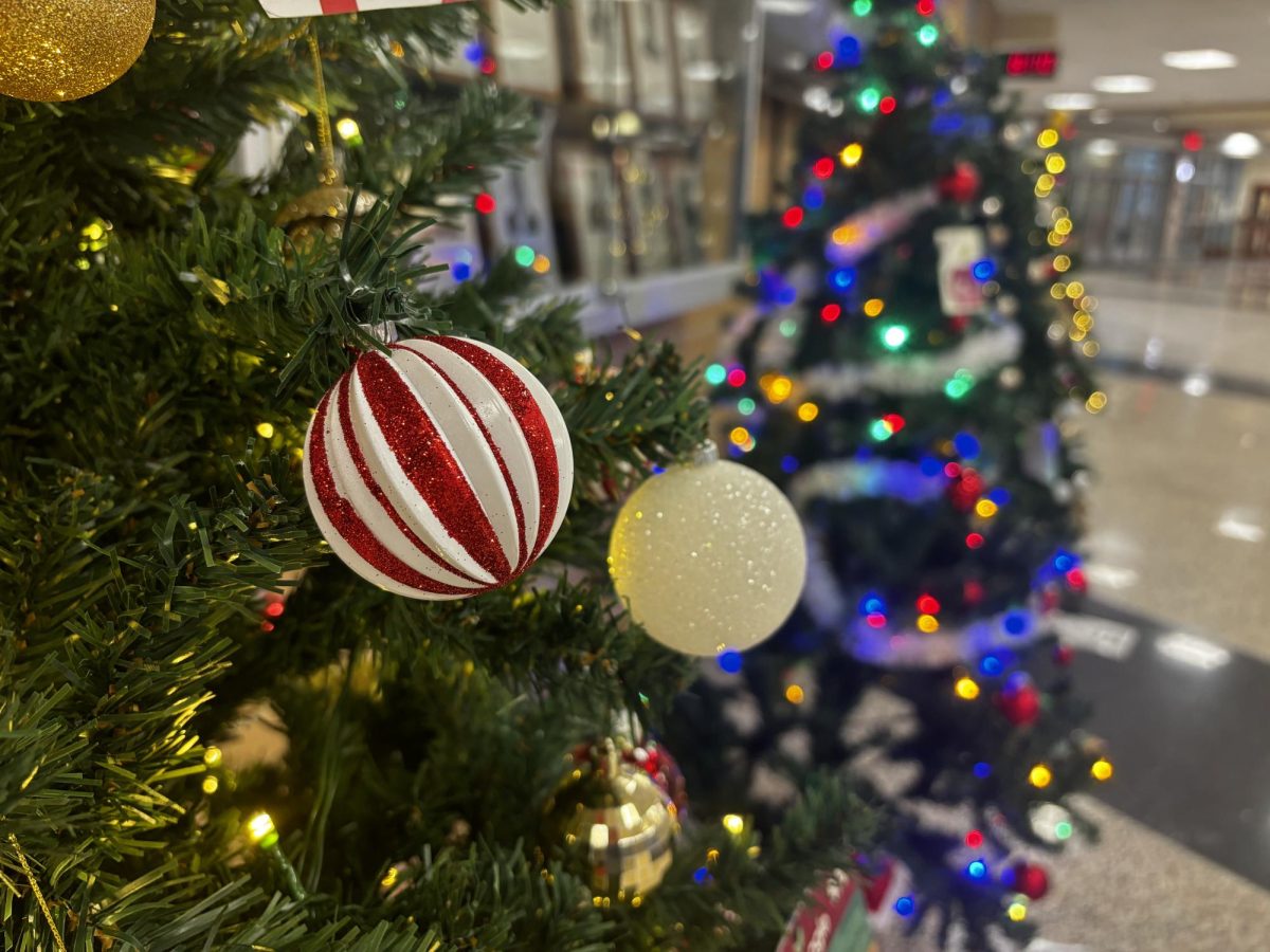 Holiday trees decorate the main lobby of the high school.