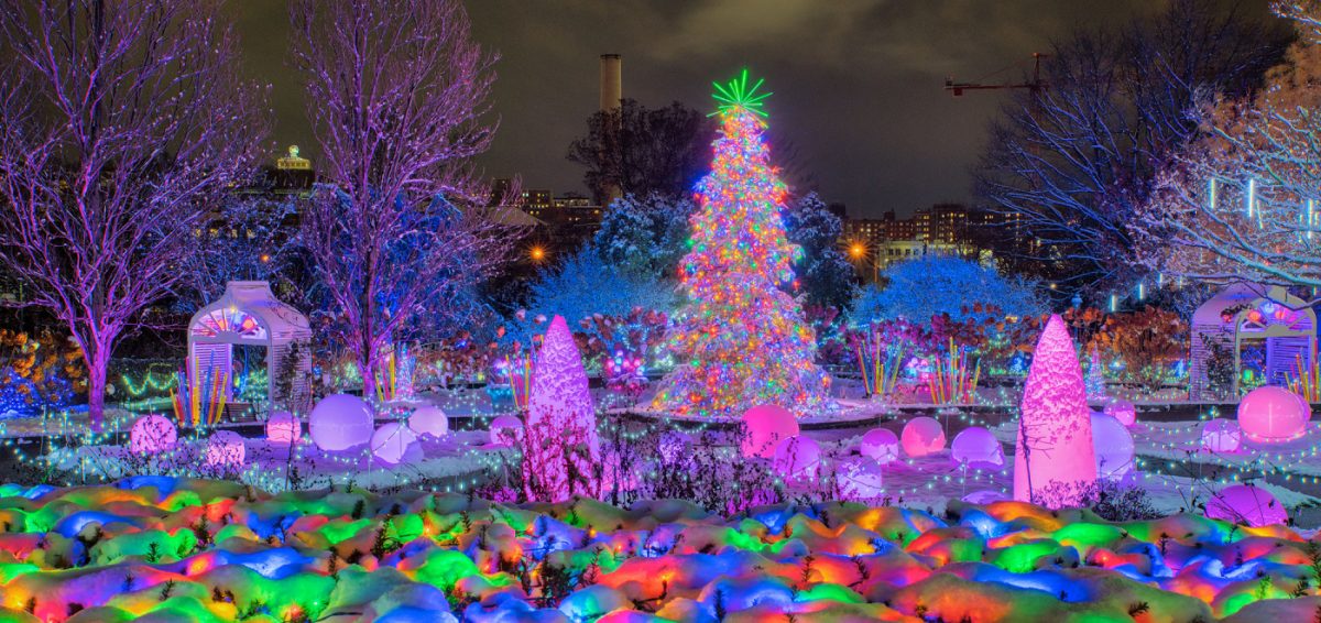 Festive Nights of Winter Lights at Phipps Conservatory |
Photo © Paul g. Wiegman and Paul Vladuchick