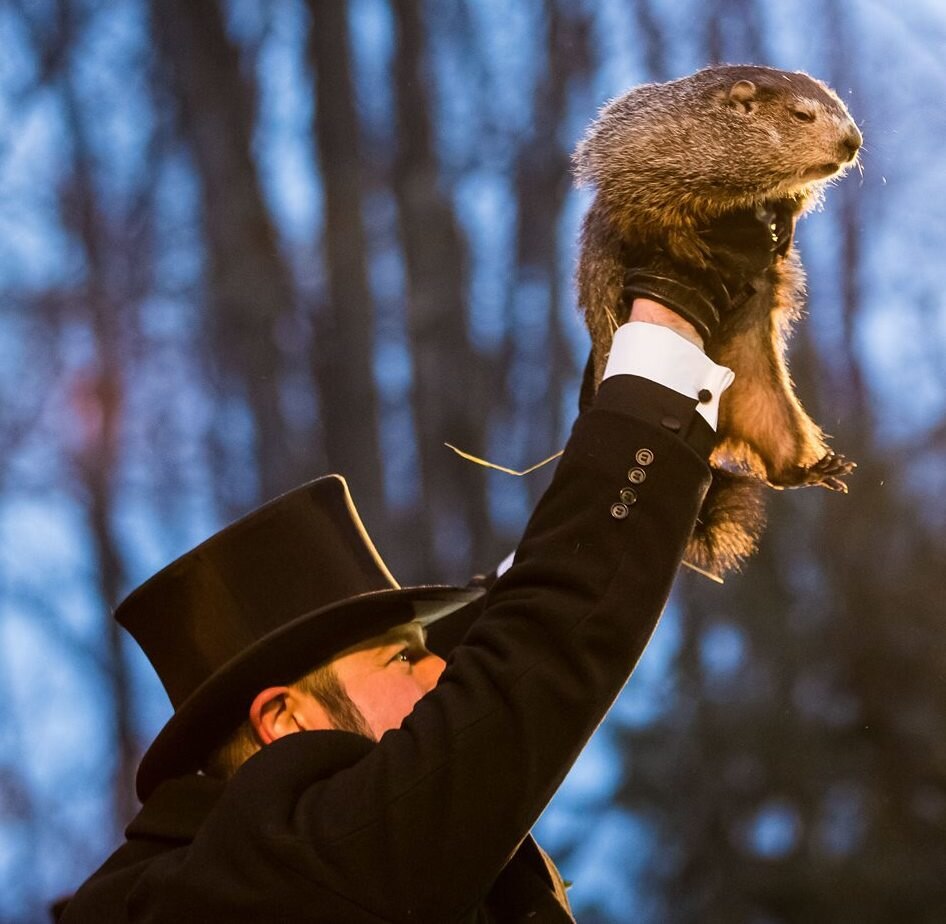 Punxsutawney Phil on Feb. 2, 2018.

Photo by Chris Flook