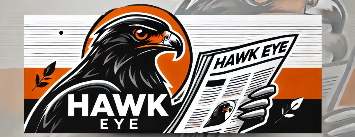 What makes a good Hawk Eye article?