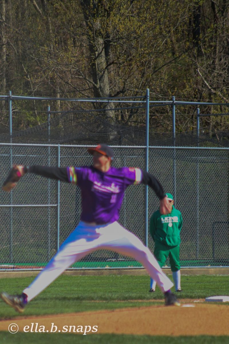 Baseball advances to WPIAL quarterfinals